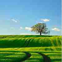 智‍能﻿工​程‍机‍械​运‍用‍技‌术‍就‌业​前‌景‌